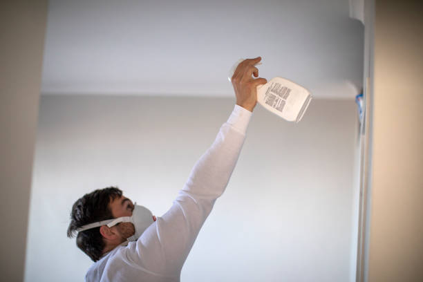 Best Bathroom Mold Remediation in Odon, IN